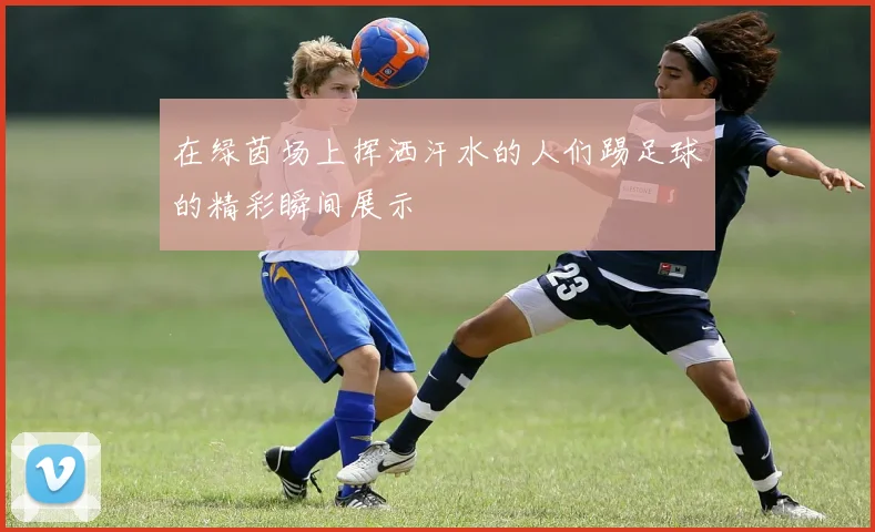 在绿茵场上挥洒汗水的人们踢足球的精彩瞬间展示