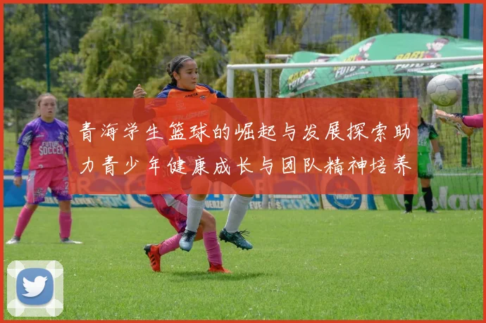 青海学生篮球的崛起与发展探索助力青少年健康成长与团队精神培养